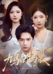 頂流夫人的致命陷阱